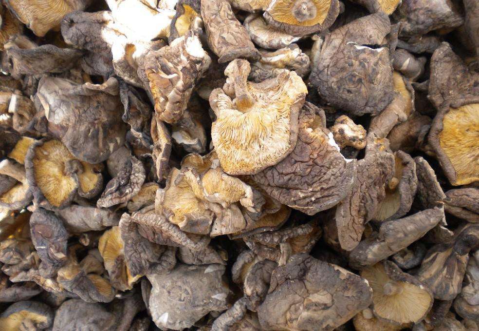 麗水食堂承包